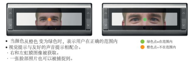 效果图
